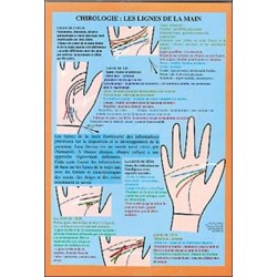 Planche chirologie: les lignes de la main
